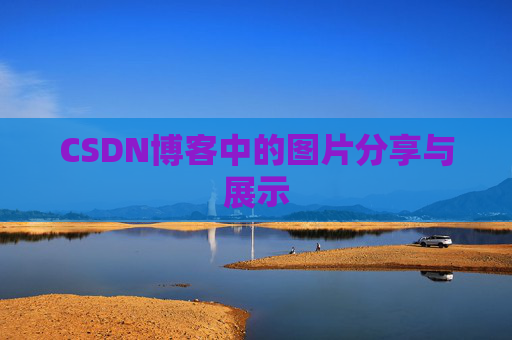CSDN博客中的图片分享与展示